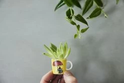 Arabia Mumin Minitassen 6er Pack Dritter Klassiker -Küchenwelt Verkauf 504012 01 11 EnvironmentImage d791012fd8