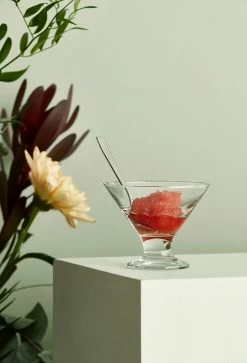 Aida Café Dessertschale 16,5cl -Küchenwelt Verkauf 508894 01 3 EnvironmentImage 7dbd70ec52