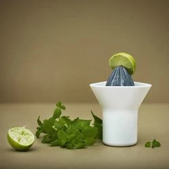 RIG TIG Rig-Tig Zitruspresse -Küchenwelt Verkauf p 19074 01 03 0fd7036625